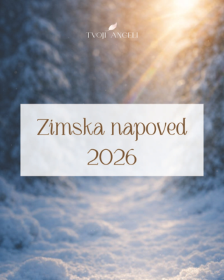 Zimska napoved 2026 - kanaliziranje - Tvoji Angeli - Špela Bajt Butko - slika 1